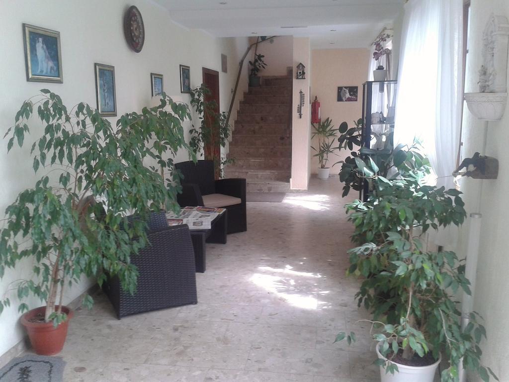 Hotelpension Schwalbennest Benz  Exterior foto